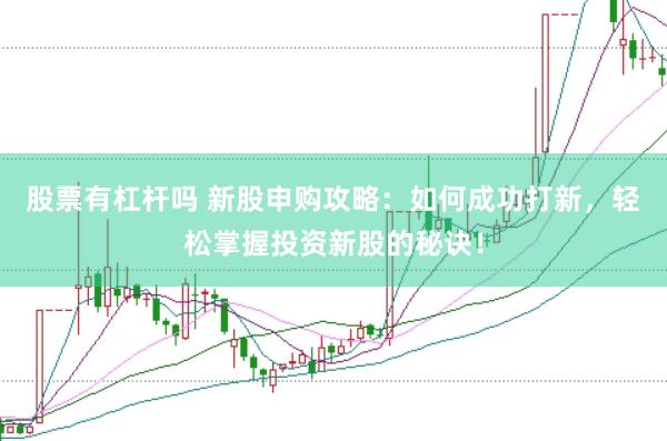 股票有杠杆吗 新股申购攻略：如何成功打新，轻松掌握投资新股的秘诀！