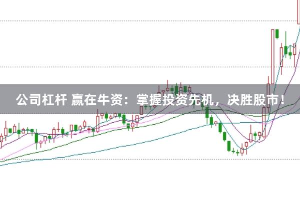 公司杠杆 赢在牛资：掌握投资先机，决胜股市！