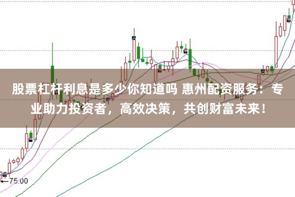 股票杠杆利息是多少你知道吗 惠州配资服务：专业助力投资者，高效决策，共创财富未来！