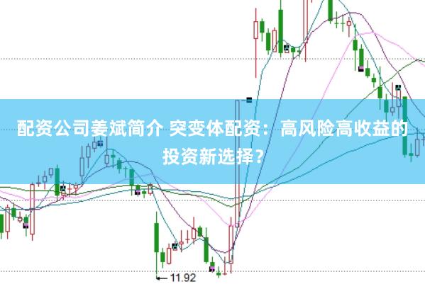 配资公司姜斌简介 突变体配资：高风险高收益的投资新选择？