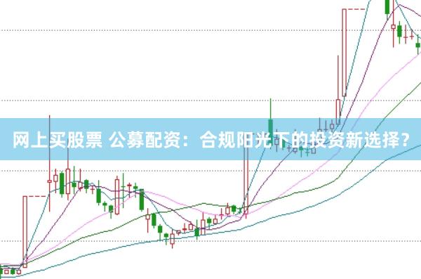 网上买股票 公募配资：合规阳光下的投资新选择？