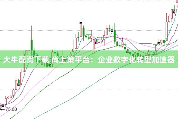 大牛配资下载 尚上策平台：企业数字化转型加速器