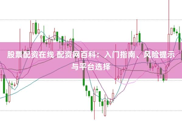 股票配资在线 配资网百科：入门指南、风险提示与平台选择