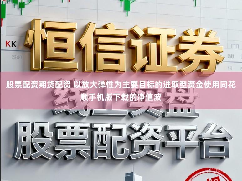 股票配资期货配资 以放大弹性为主要目标的进取型资金使用同花顺手机版下载的净值波